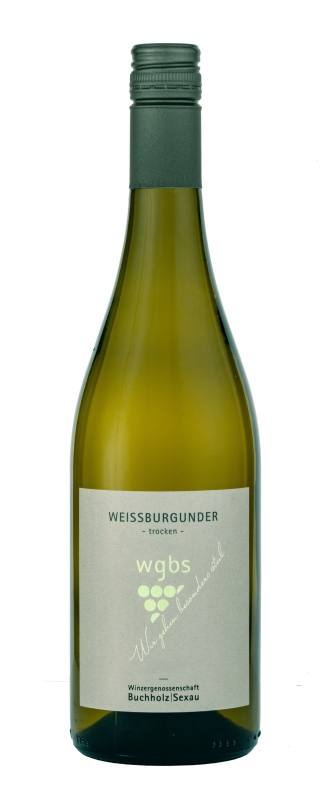 Weißer Burgunder 2024, Kabinett - trocken