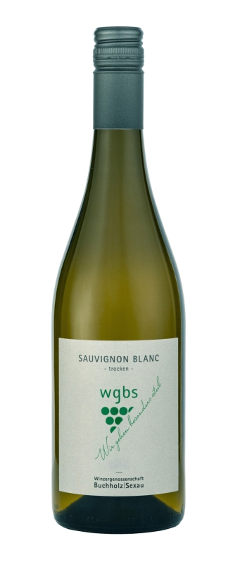 Sauvignon Blanc  2024, Qualitätswein mit Prädikat Kabinett - trocken