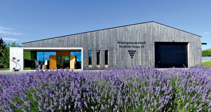 Soul & Sip: Workout.Yoga.Wein - Teil 1